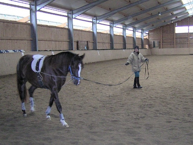 Dez. 2006, Tosca knapp 4,5 Jahre