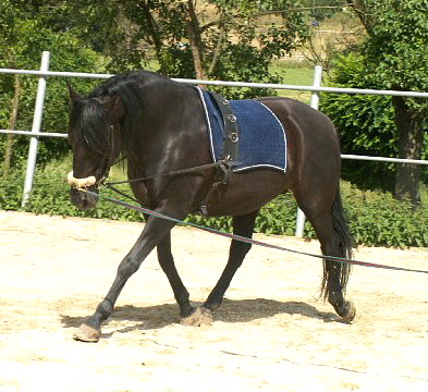 PICT0029.JPG