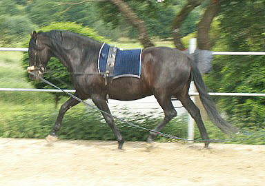PICT0092.JPG