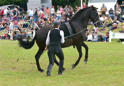 atavio 049.JPG