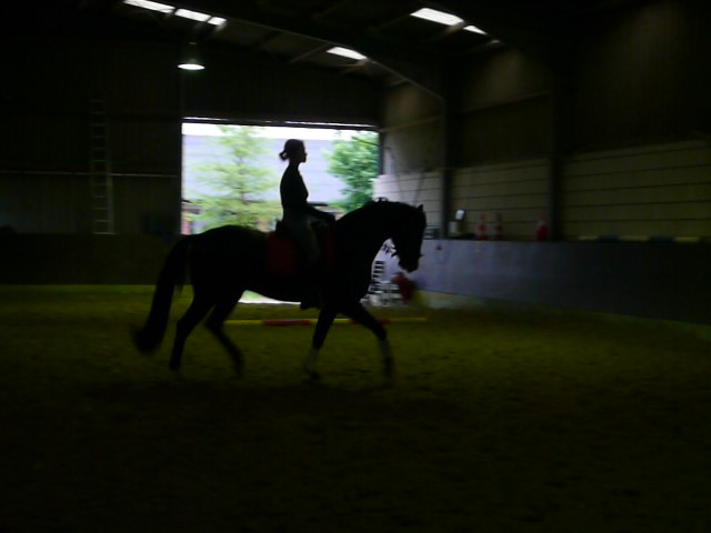 Holdibert 13.05.2010 007.JPG
