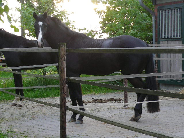 holden 3 jahre geburtstag 008.JPG